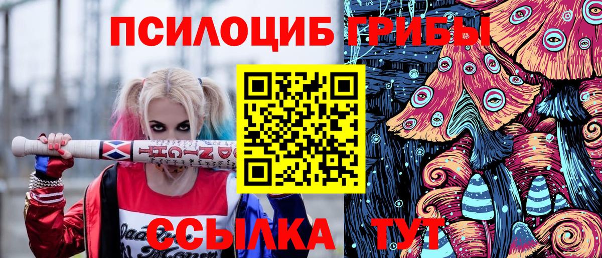 Томск  Псилоцибиновые грибы мухоморы  Вход с VPN 